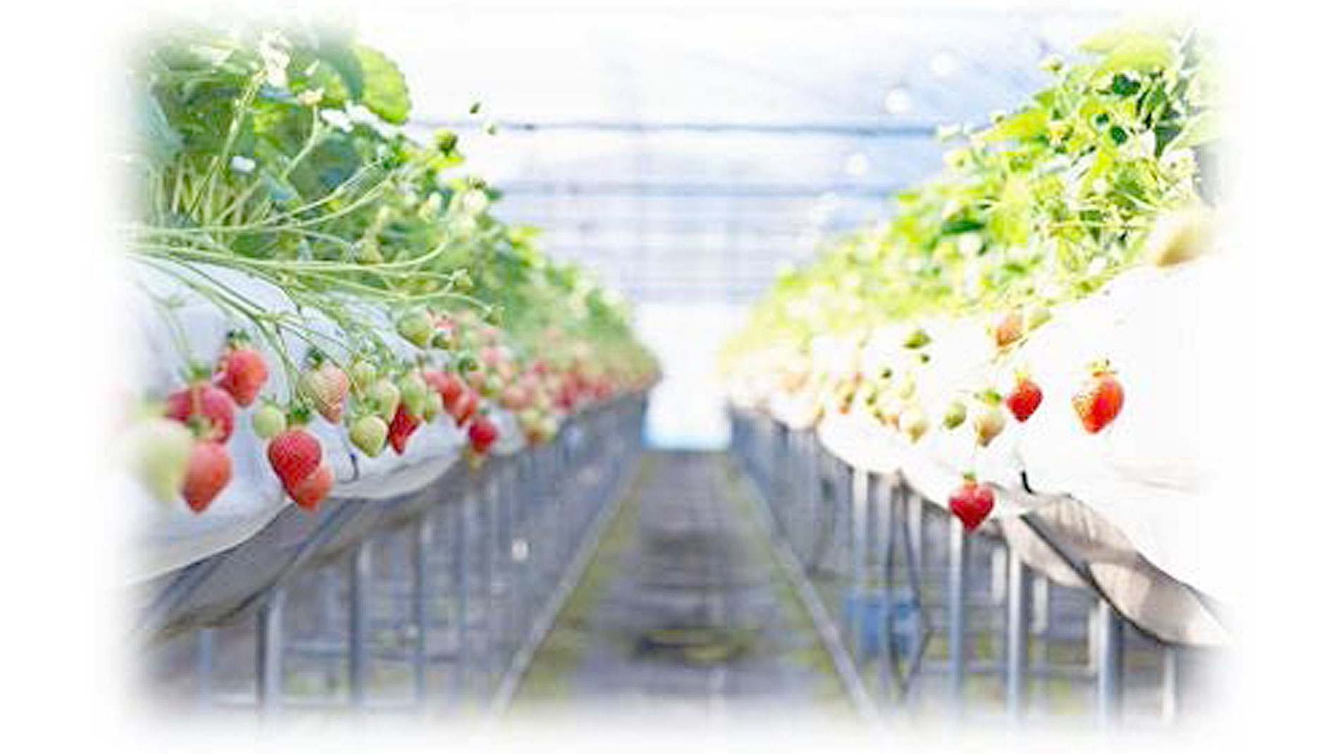 令和7年度 12月補正予算の主な内容